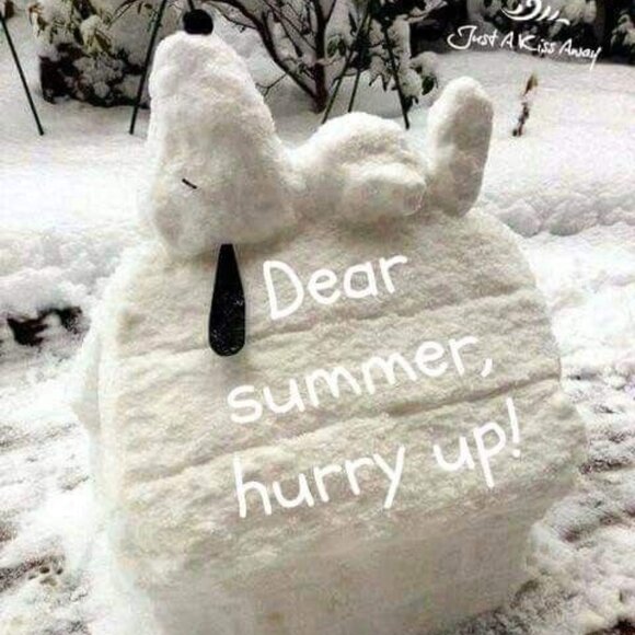 ☃️❄️Too much snow!!!❄️Stay warm and shop!!! - Picture 1 of 1